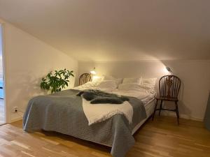 Trädgårdshuset, havsnära och modernt