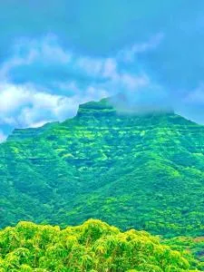 Anantsrushti Agro Tourism Resort Velhe Majgaon - Karandi Khurd