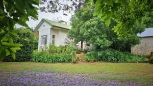 Eagle Owl Cottage - Kini Bay