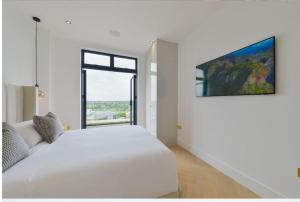 Brand New Luxury Penthouse 2 Bedroom 2 bath