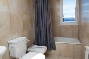 Alojamientos Bariloche, Edificios centricos