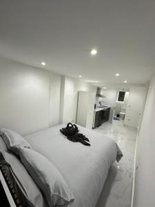 Flat in Euston Central London
