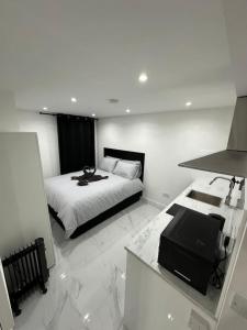 Flat in Kings Cross London