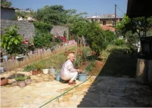 Petalidi Gedigio - Nerómilos