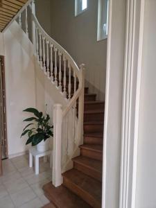 appartement en pleine nature