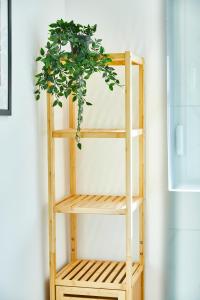 BE-2D Joli 3 pièces tout équipé pour 1-4 pers 2ème étage au centre de Mulhouse