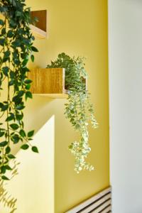 BE-2D Joli 3 pièces tout équipé pour 1-4 pers 2ème étage au centre de Mulhouse