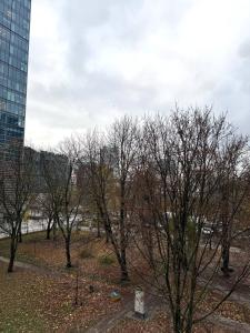 Studio in the Center - Prime Location