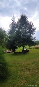 Apartma SOFIA - Podmelec