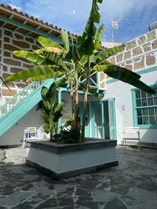 Hacienda de las Indias, Trinidad