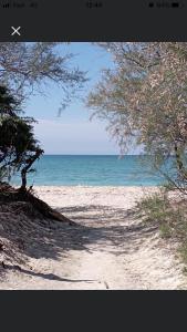 La Conchiglia sul Mare