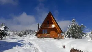 Planinski Mir - Sokolac