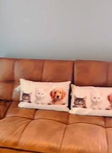 Mirador del Laguito 13003