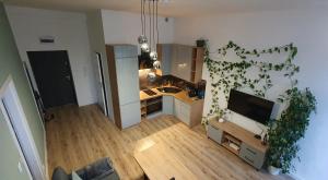 Apartament Green Loft Centrum