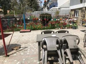 Amazing view Bucegi Montaines