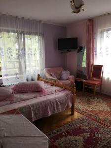 Vila cu vedere spre Bucegi