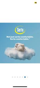 THE Clubhouse MASTERS GOLF THEMED 1 KING BED 1 BATH FURNISHED APARTMENT FULL SIZE KITCHEN FULL SIZE LEATHER PULL OUT SLEEPER SOFA IN LIVING ROOM & FULL SIZE LEATHER SOFA 1 GIG FIBER INTERNET DIRECTV PREMIUM PACKAGESPORTS & MOVIE CHANNELS & DVR