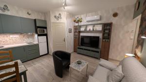 Appartements Au Cygne : photos des chambres
