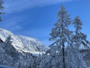 Duplex 4 pers vue MontBlanc , Grands Montets