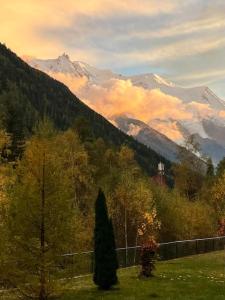 Duplex 4 pers vue MontBlanc , Grands Montets