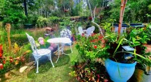 B&B Gold coast Hinterland - Upper Tallebudgera