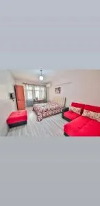 Sesamos pansiyon - 番红花城