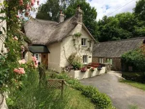 Three Pound Cottage, the Dartmoor Holiday Cottage - Ilsington