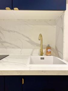 Dijon hyper centre Balnéo Casa Dauphine