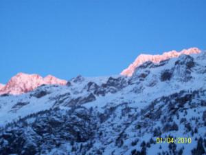 Appartements L'Aigle Royal : photos des chambres