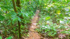 House 15 Min From The Beach With River Access