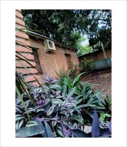 Entre Mangos y Tucanes