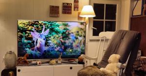 PARIS AUTHENTIC HOUSE studio with green courtyard 12 rue labourse Gentilly 94250