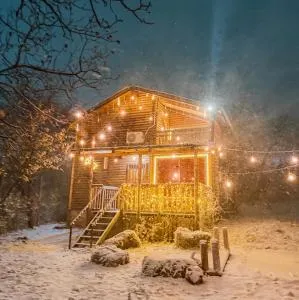 Villzone vila in Prishtina with big garden - Orllan