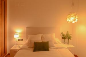 Apartamentos San Pedro