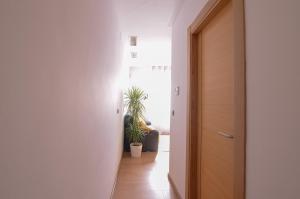 Apartamentos San Pedro