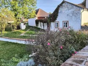 Chaloupka u Mostu sv Jana v centru Vodňan - Tourov