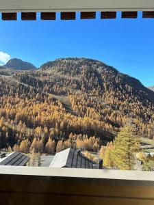 Appartements cosy appt 6 beds dans residence MMV : photos des chambres