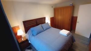 Cabaña Álamos de Llancahue