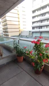 Amplio DOS ambientes con balcón a 250 mts del mar