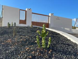 Apartamentos Violante - 3hvězdičkové hotely ve městě Tuineje