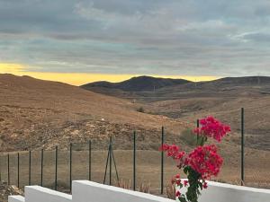 Apartamentos Violante