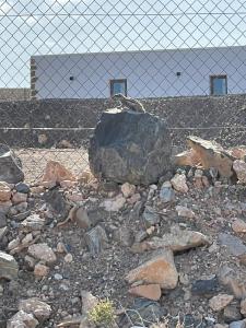 Apartamentos Violante