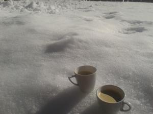 Landhof Schober appartementen