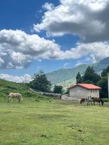 Casa dos Manels - Várzea