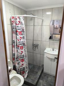 Monoambiente ushuaia