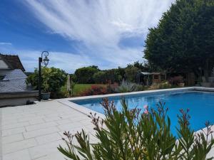 B&B / Chambres d'hotes Charmante Chambre d-Hotes avec Piscine Chauffee et Terrasse Privative dans le Parc de la Brenne - FR-1-591-597 : photos des chambres