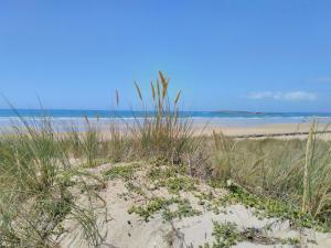 Villas Maison familiale 4 pieces, animaux acceptes, pres plage - FR-1-479-164 : photos des chambres