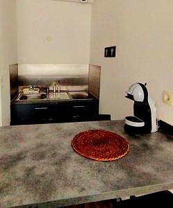 Appartements Chazy pres de la cite de l-espace : photos des chambres