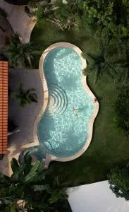 Casa Cactus Buenavista - Gato