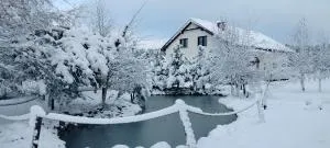 Brzozowy Zakątek - Rościno